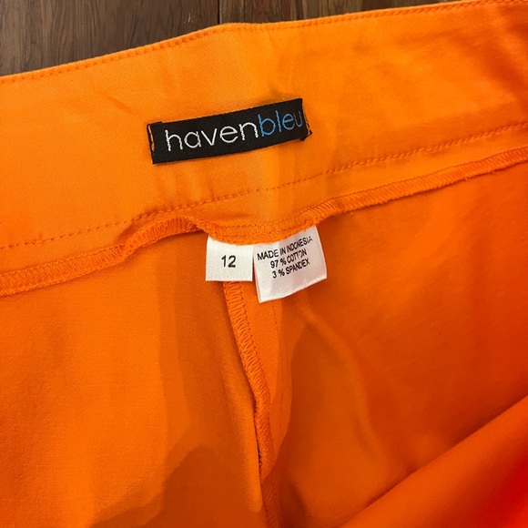 Haven Bleu High Waisted Pants - Picture 4 of 5